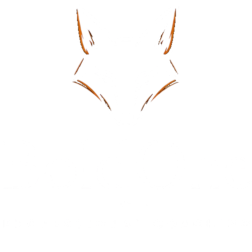 BoldOne Logo